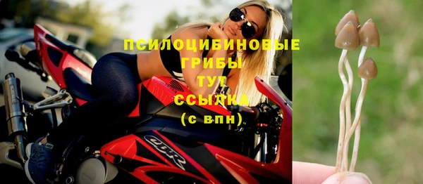 амф Алзамай
