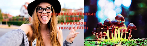 прущие грибы Абаза