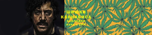 прущая мука Нея