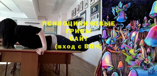 соль ск Абдулино