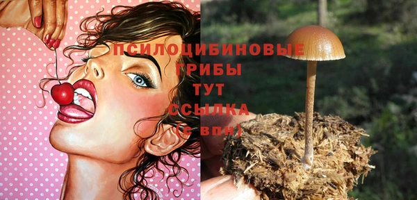 дурь Алексин
