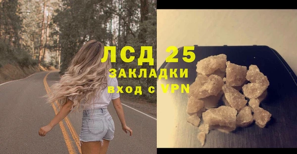 прущие грибы Абаза