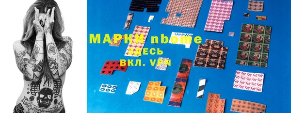 прущие грибы Абаза