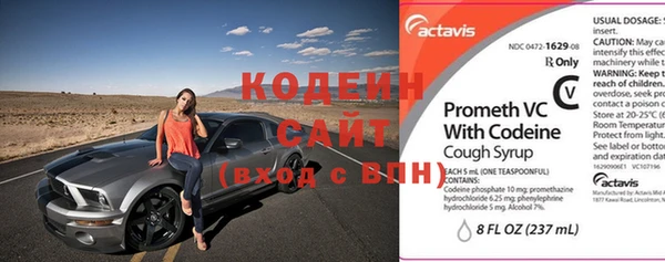 прущие грибы Абаза