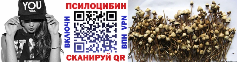 Псилоцибиновые грибы ЛСД Нюрба
